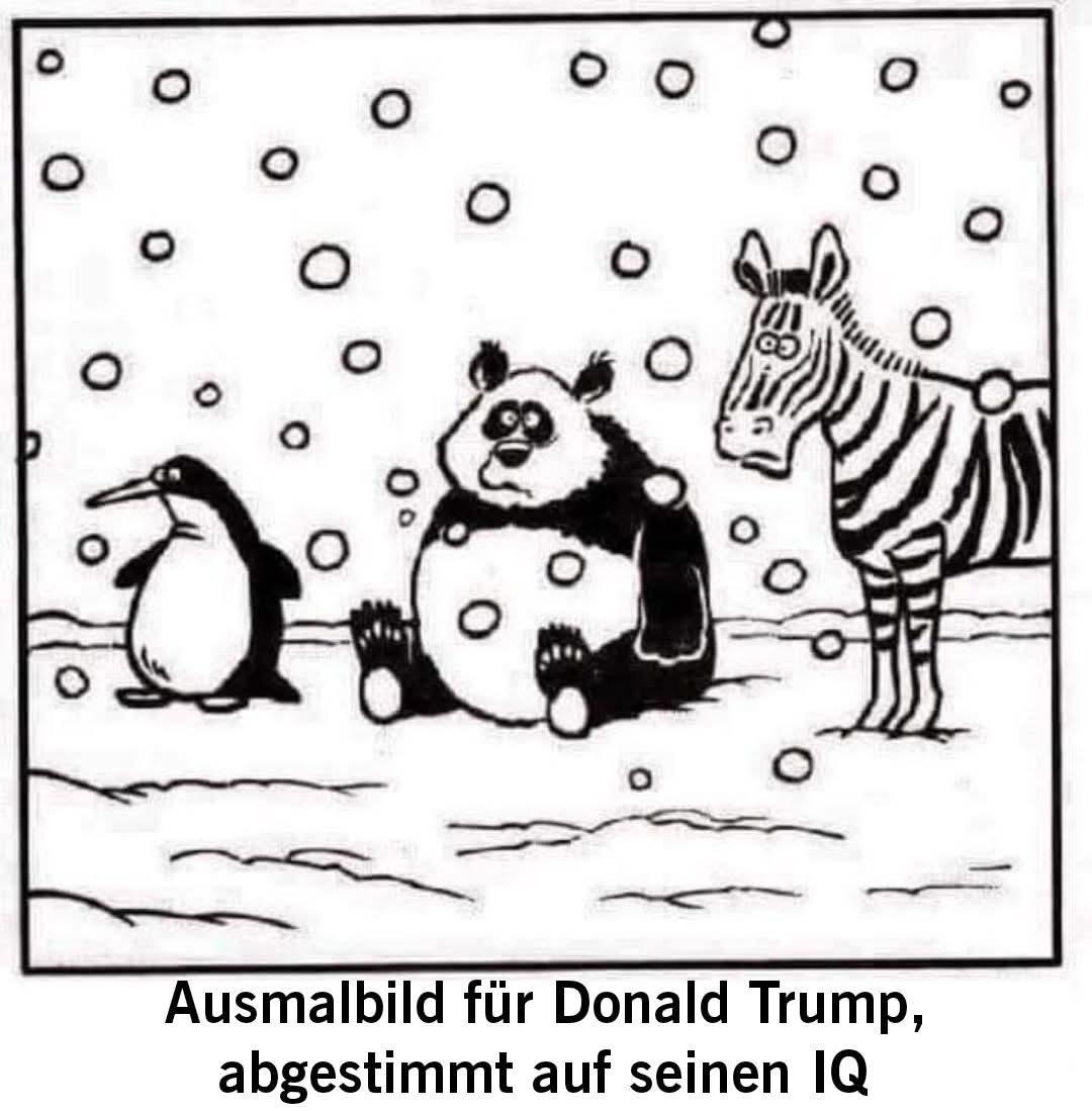 Ein schwarz/weiss Bild mit einem Pinguin, einem Pandabär und einem Zebra. Darunter steht: Ausmalbild für Donald Trump, abgestimmt auf seinen IQ.