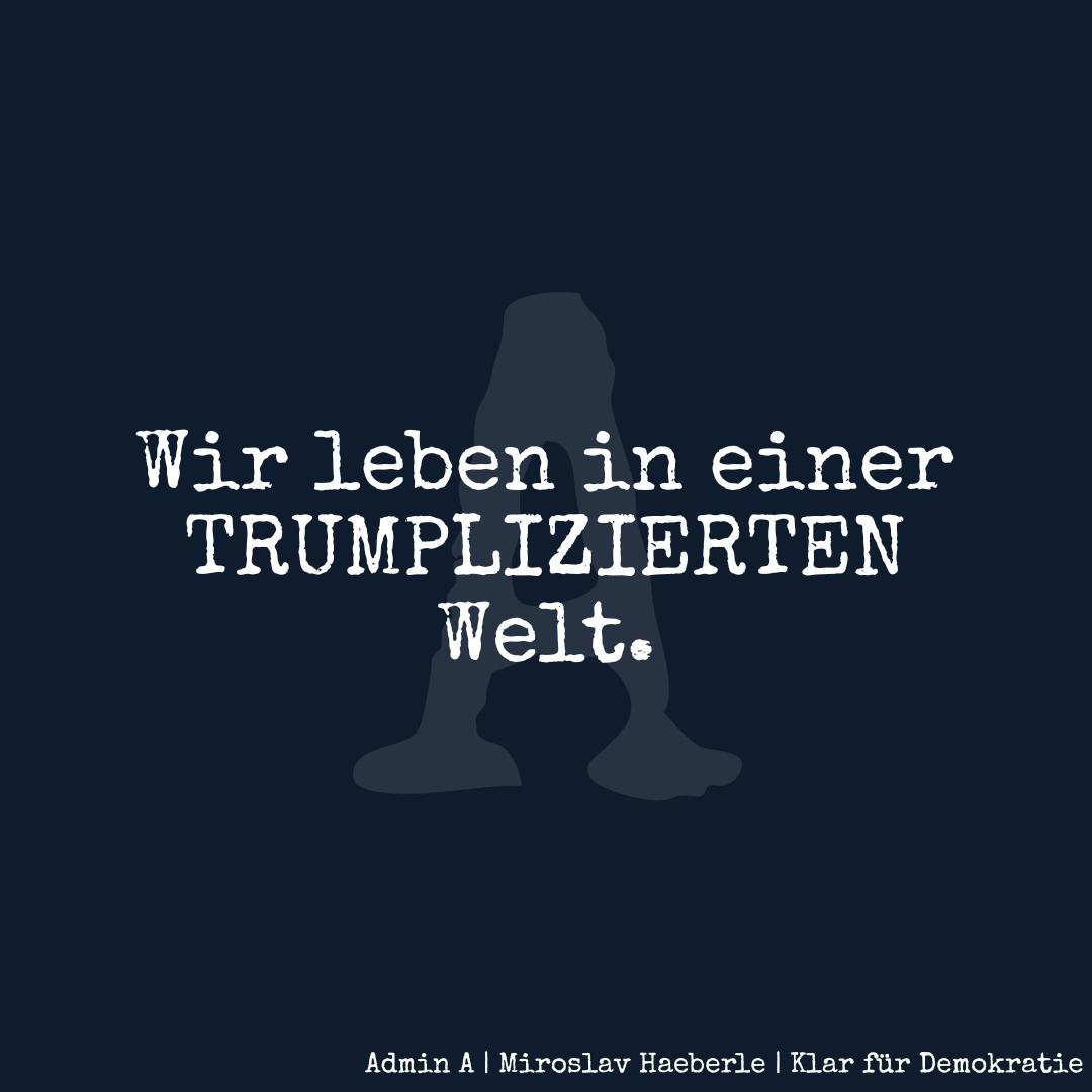 Ein Meme mit dem Titel: Wir leben in einer TRUMPLIZIERTEN Welt